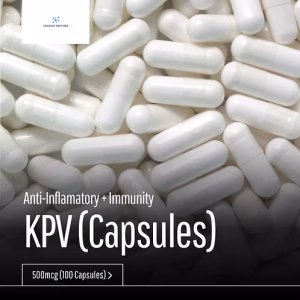 KPV	(500mcg x 100pcs)